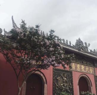 摩鑫娱乐：助力公益活动建设，实现经济效益与社会效益的双赢！